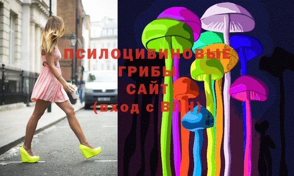 МДПВ Корсаков