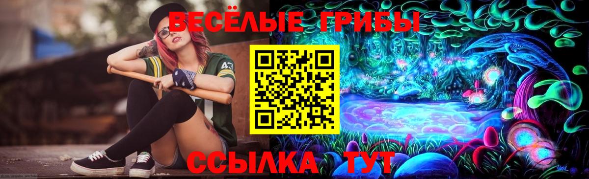 Псилоцибиновые грибы мицелий Канск