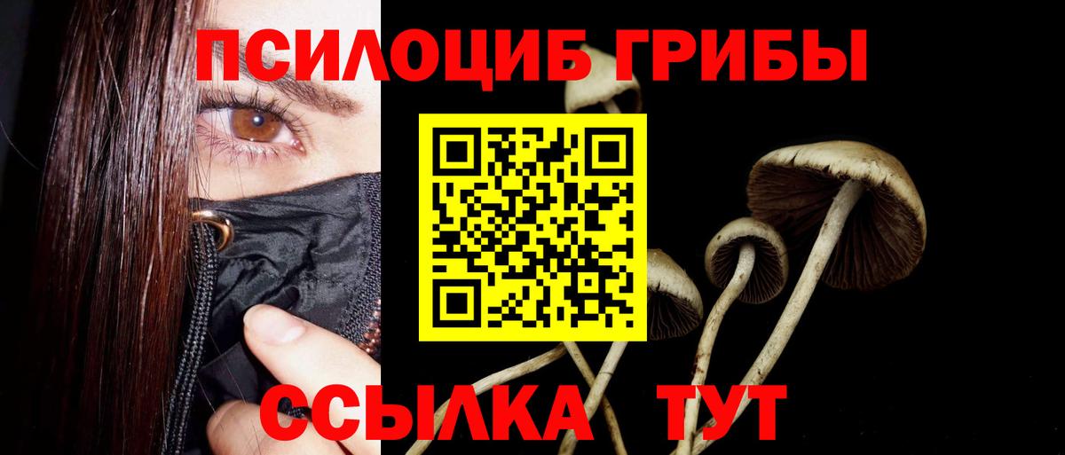 Галлюциногенные грибы мухоморы  Псилоцибиновые грибы Magic Shrooms  Канск  Вход с VPN 